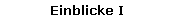 Einblicke I